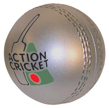 cricket ball business plan